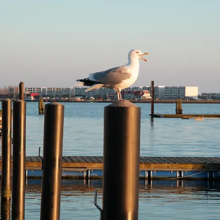 Hausboot Kaddi's Sunshine - Huus & Tekne Fehmarn